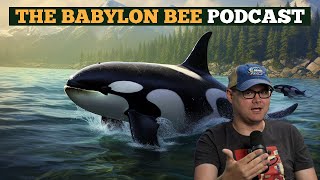 Podcast: Planet Of The Orcas