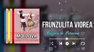 Frunzulita viorea  / Muzica Moldoveneasca 2022 🎹🎼
