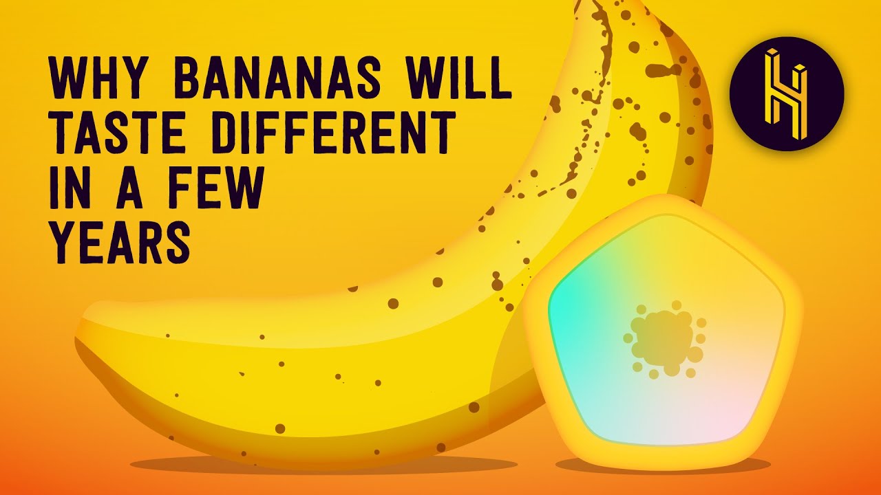 ⁣Why Bananas Will Taste Different in a Few Years