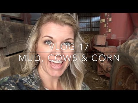 Mud, Cows & Corn : This Farm Wife Farm Life