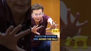 Pluto The Physics Dog Avoids The Fall
