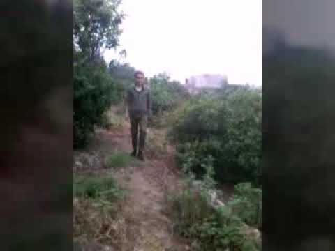 شريك دربي راح