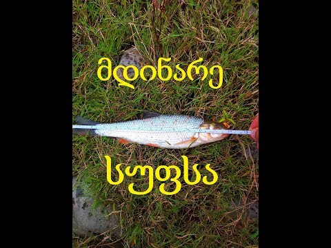 ქაშაპი სუფსაზე