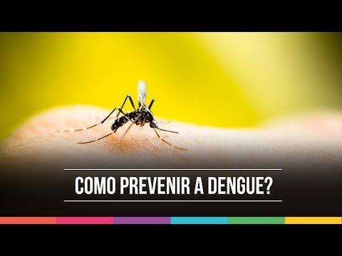 Como prevenir a dengue e combater a doença?