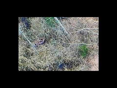 Влад бахов фото с квадрокоптера