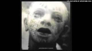 Pain Of Salvation - Scarsick