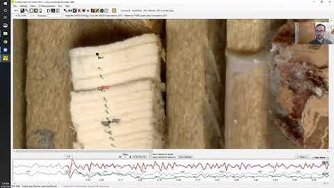 Coorecorder tips- earlywood/latewood, gaps, missing rings, etc.