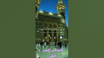 #تلاوة تبكي القلوب من الشيخ الجليل سيد سعيد أمام مشهد مهيب للحرم المكي#اسلاميات#راحة_نفسية #ارح_قلبك