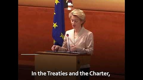 Solemn Undertaking of the College of Commissioners before the Court of Justice in Luxembourg