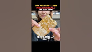 Why are Honeycombs Hexagonal?