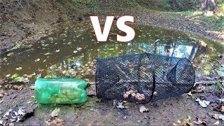 BEST Minnow Trap Bait - DOG FOOD vs BREAD (which catches more?) 