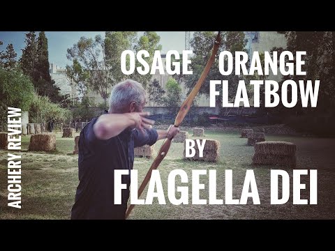 Osage Orange Flatbow by Flagella Dei - Review