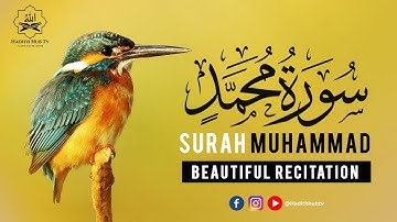 Surah Muhammad سورة محمد (TRANQUILITY)