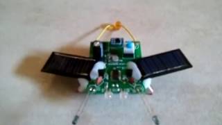 Light seeking robot