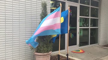 Another Flag Animation Reference