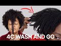 EASIEST 4C Wash and Go I've Done 👀 | Spring 2022