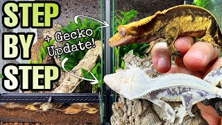 HOW TO SETUP A CRESTED GECKO VIVARIUM | GECKO UPDATE!