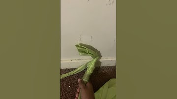 I’m too lazy to name the title ￼