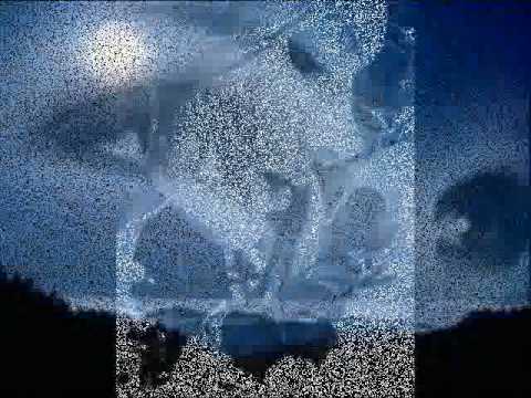 نفسى تسمع دينــا والملائكه 