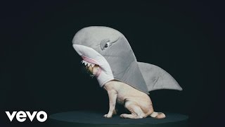 Video thumbnail of "WE ARE MATCH - The Shark (Clip officiel)"