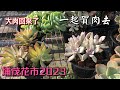 【威霖TV】一起買肉去/埔茂花市