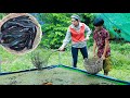 Catch cat fish in my village and harvest plant for healthy eating | Cat fish cook in my country