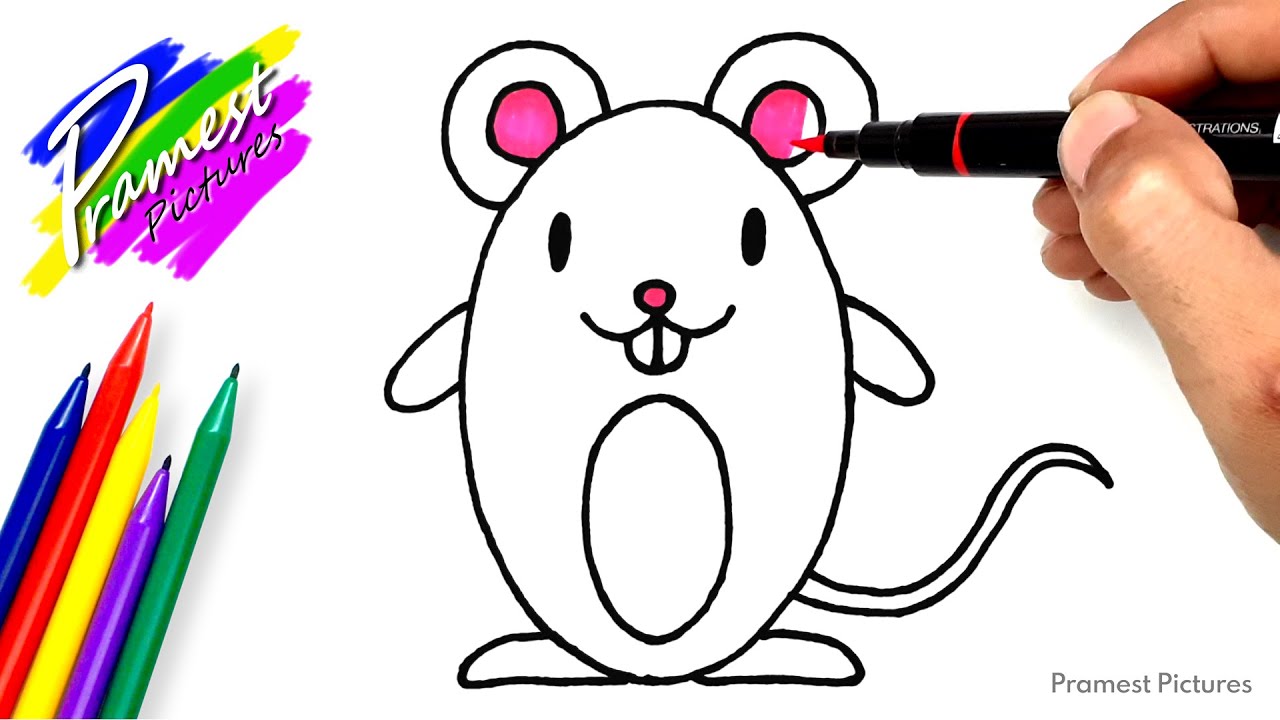 Mouse How To Draw And Color Pictures Of Animals For Kids Youtube