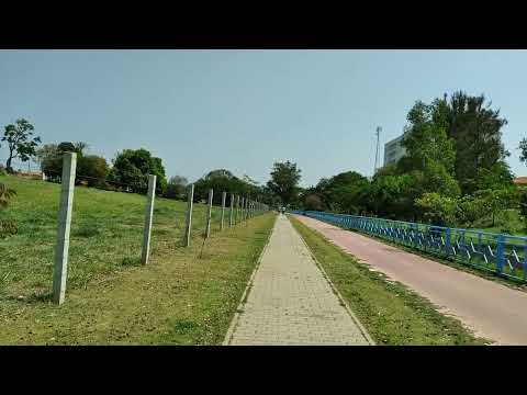 Brazil Relaxing Walking