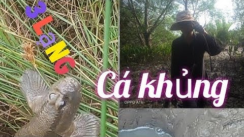 LẦN ĐẦU CẤM CÂU CÁ THỒI LỒI || dính cá khủng #minhdasanbat #tv