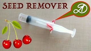 The Machine For Pitting Cherries Diy How To Remove Cherry Pits Youtube The Machine For Pitting Cherries Diy How To Remove Cherry Pits Youtube