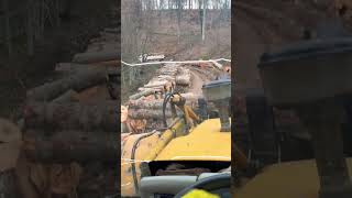 😏 #automobile #öneçıkar #keşfet #orman #mercedes