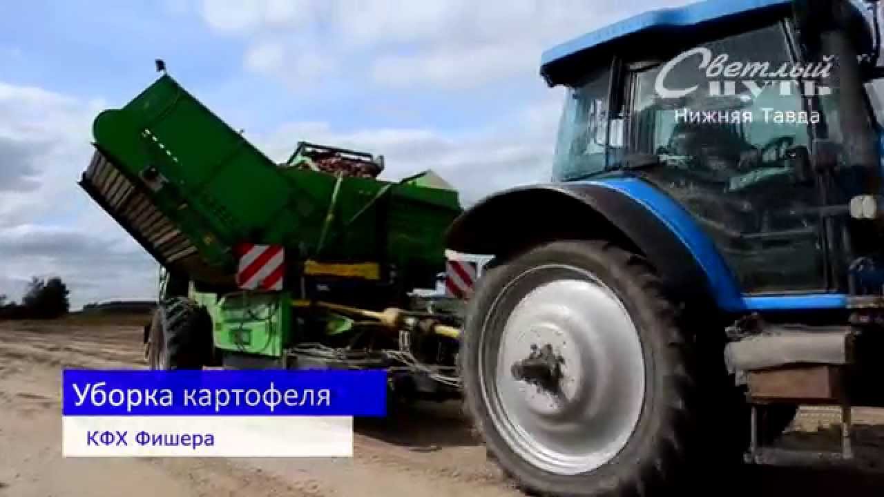 Машина фишера головкина