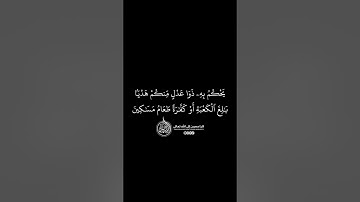 ماهر المعيقلي - سورة المائدة ( برواية حفص عن عاصم ) الأية 95