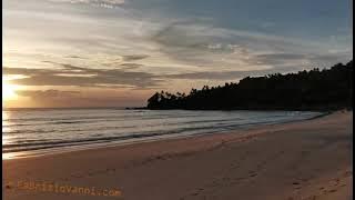 Pansea Beach - Surin Beach - Phuket - 2021