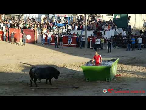 Semana Taurina Piscina Olímpica