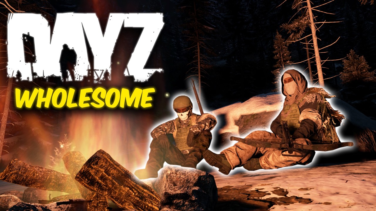 Незнакомец изменил мое мнение о DayZ.