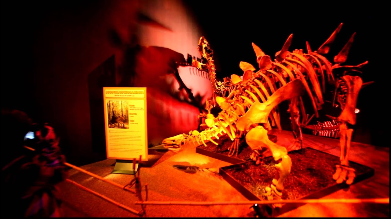 Giant Mysterious Dinosaurs at The Franklin Institute - YouTube