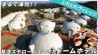 おしゃれなドームが立ち並ぶホテル【とれとれヴィレッジ】が可愛すぎた!|宿泊レビュー