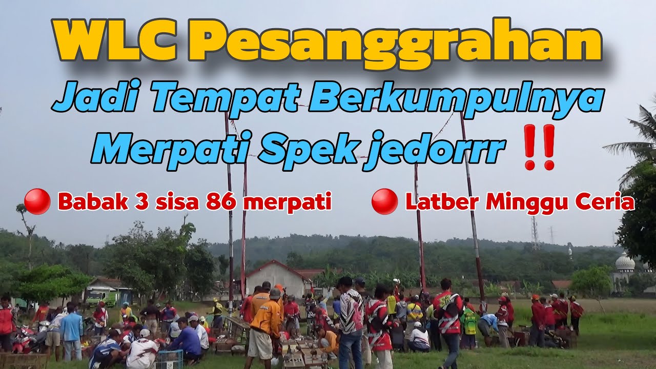 DIHUNI MERPATI SPEK JEDOR LATBER MINGGU CERIA LAPAK WLC TEMBUS 334 PESERTA