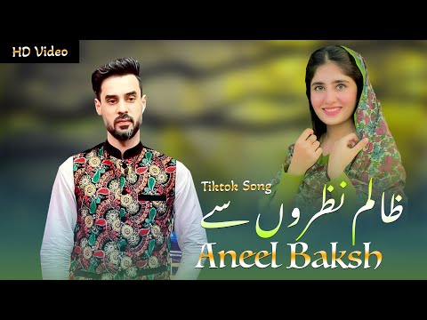 Anil Bakhsh Pashto Songs 2022 Yam Laka Majnoon Pashto Urdu Farsi Official Music Video 