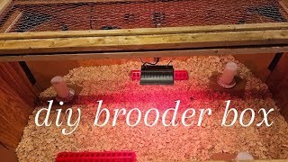 diy brooder box