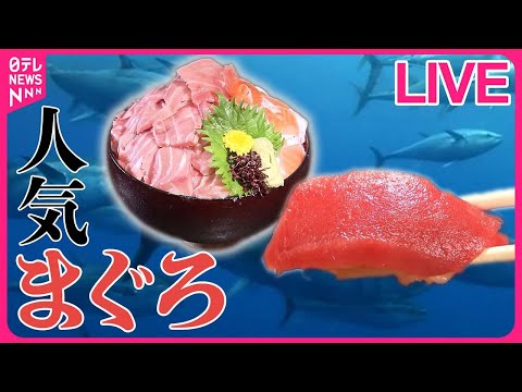 【マグロまとめ】希少部位も！マグロ専門店の"食べ飲み放題" /  町でウワサのマグロ料理が大集合！　厳選！　マグロ大全集 / 水産卸の直営 コスパ抜群の"天然マグロ"　など（日テレNEWSLIVE）