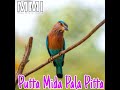 puttameedha palapitta song Mp3 Song