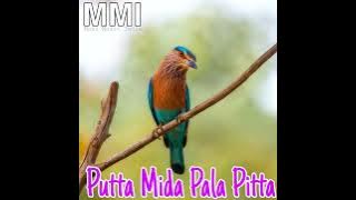 puttameedha palapitta song
