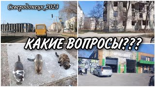 СЕВЕРОДОНЕЦК 2023//ПРО УНИТАЗЫ//КТО БУДЕТ ОТВЕЧАТЬ?//КОШКИ ВСЕГДА ЖДУТ//ЗВУКИ ГОРОДА #северодонецк