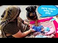 My dog wants to play with my baby||new year celebration.