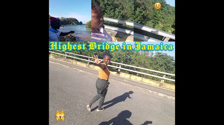 #HIGHEST_BRIDGE in Jamaica || #Priestman's River||...