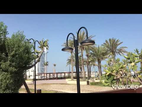 Umm Suquim Park #myDubai#Dubai#uae