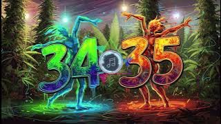 34 35 - Reggae Fly High Musica