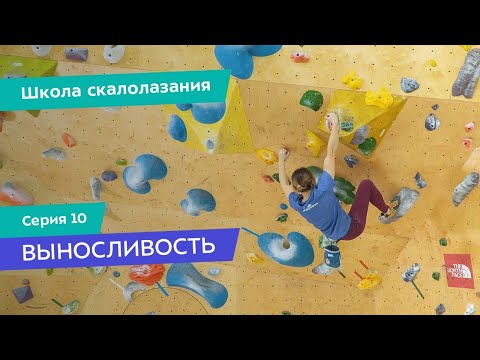 Тренировка выносливости в скалолазании
